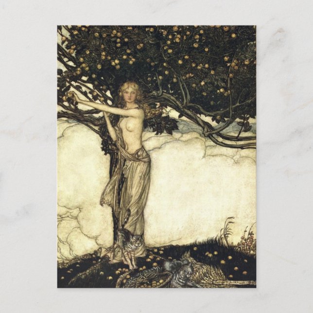 Carte Postale Rackham's Rhinegold (Devant)