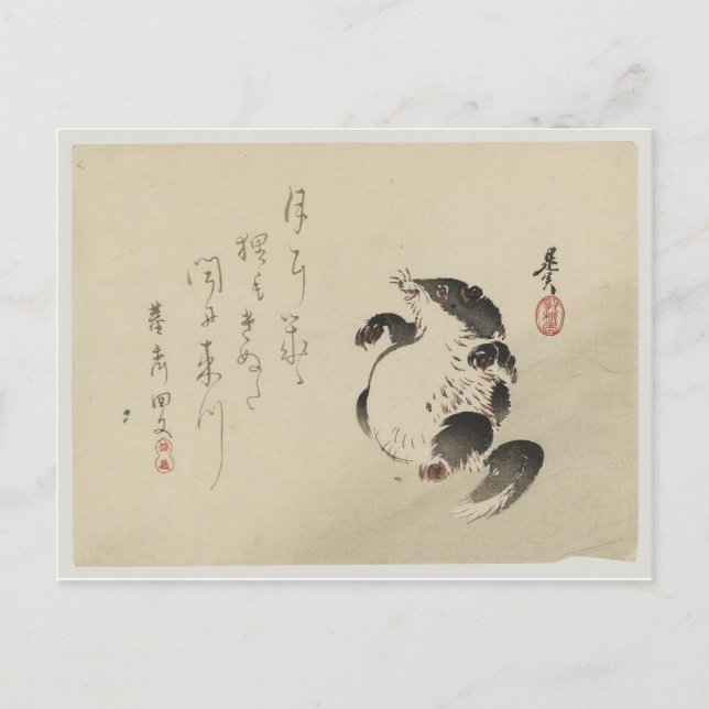 Carte Postale Racoon-dog (Tanuki) par Shibata Zeshin (Devant)