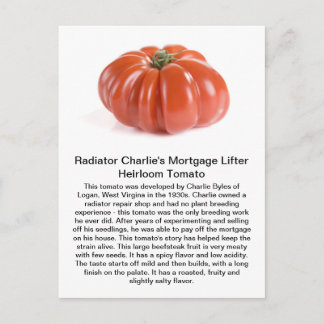 Carte Postale Radiator Charlie - Mortgage Lifter Heirloom Tomato