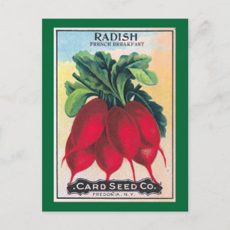 Carte Postale Radish Seed Packet