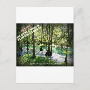 Carte Postale RADIUM SPRINGS - Albany, Géorgie