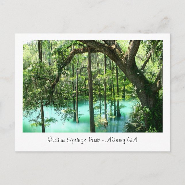 Carte Postale Radium Springs Park, Albany GA (Devant)