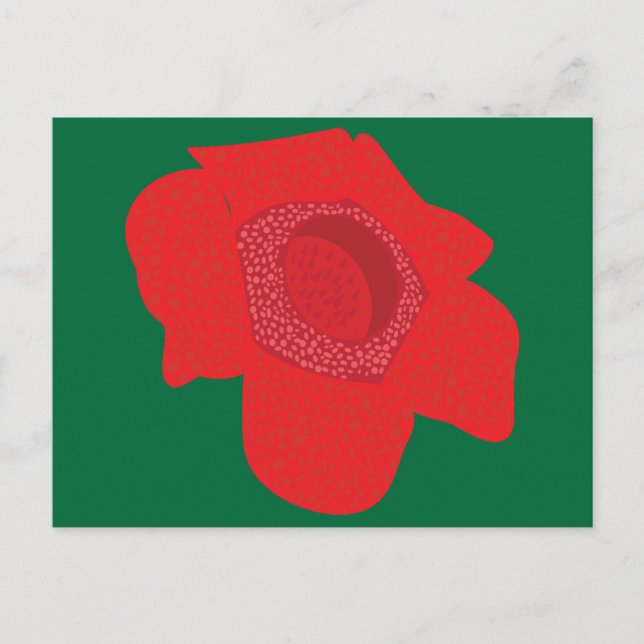 Carte Postale Rafflesia (Devant)