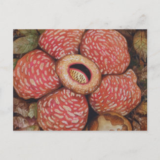 Carte Postale Rafflesia De Bornéo Aquarelle Art