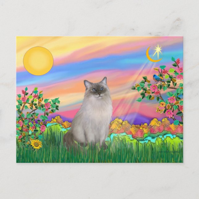 Carte Postale Ragdoll Cat (Point Bleu) - Day Star (Devant)