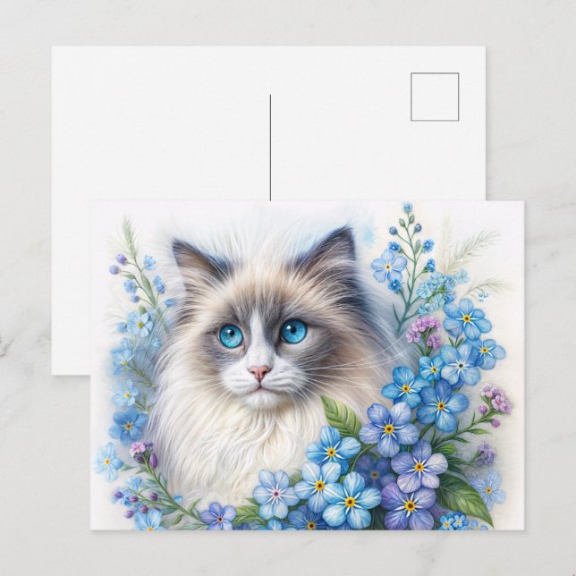 Carte Postale Ragdoll Cat With Forget-Me-Nots (Devant / Derrière)