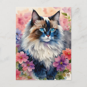 Carte Postale Ragdoll Chat Floral Portrait Art
