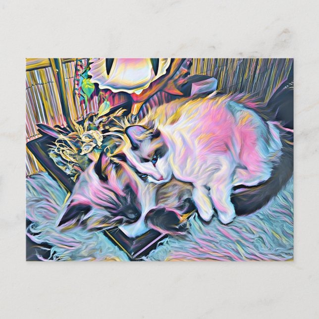 Carte Postale Ragdoll Kittens (Devant)