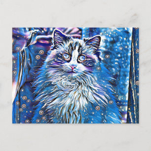 Carte Postale Ragdoll mignon yeux bleus