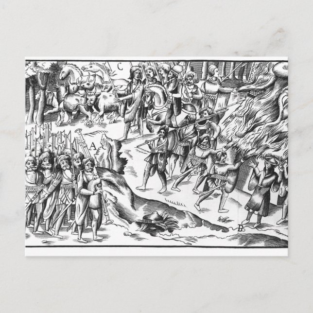 Carte Postale Raid de bétail irlandais sur une plantation anglai (Devant)