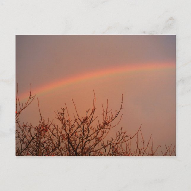 Carte Postale Rainbow (Devant)