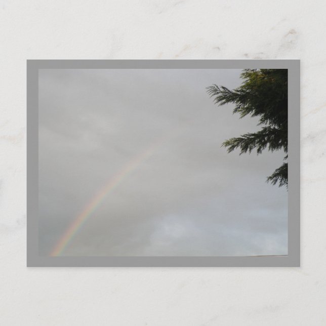 Carte postale Rainbow (Devant)