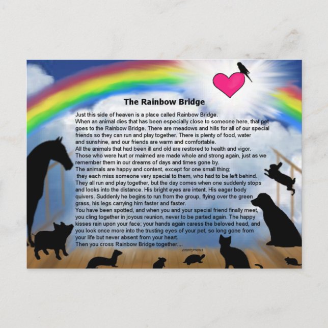 Carte Postale Rainbow Bridge Poem (Devant)