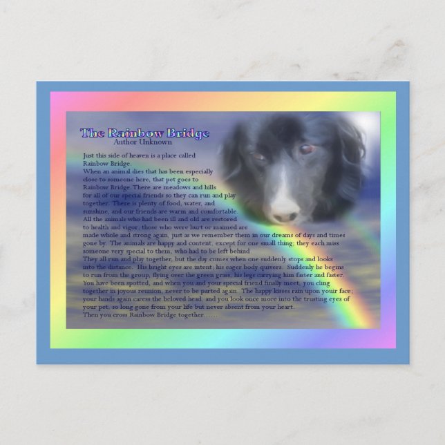 Carte Postale Rainbow Bridge Poem Pet perte de la sympathie (Devant)