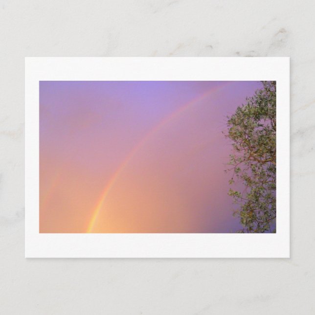 Carte Postale Rainbow été (Devant)