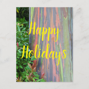 Carte Postale Rainbow Eucalyptus Tree Joyeuses vacances