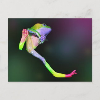 Carte postale Rainbow Frog