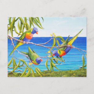 Carte Postale Rainbow Lorikeet Birds Blue Australian Peinture