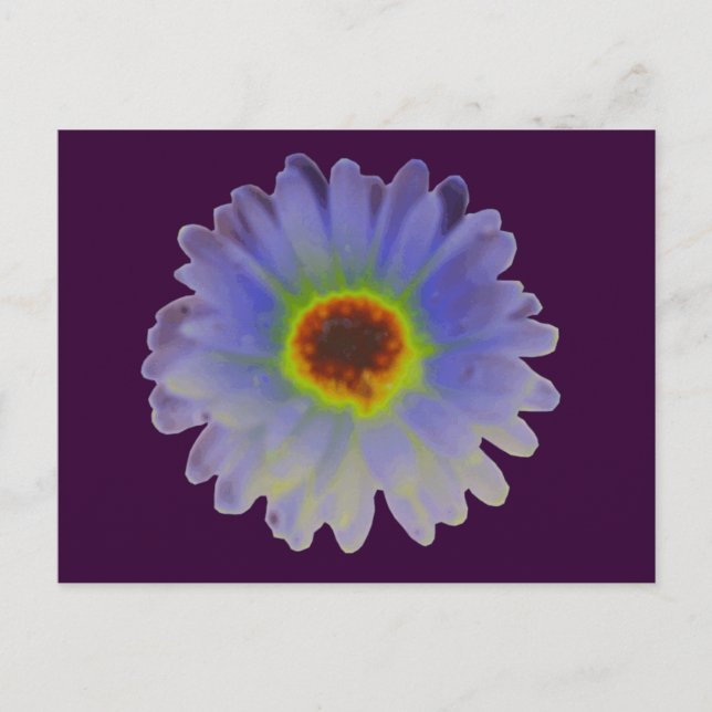 Carte postale Rainbow Marigold (Devant)