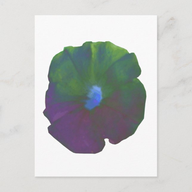 Carte postale Rainbow Petunia (Devant)