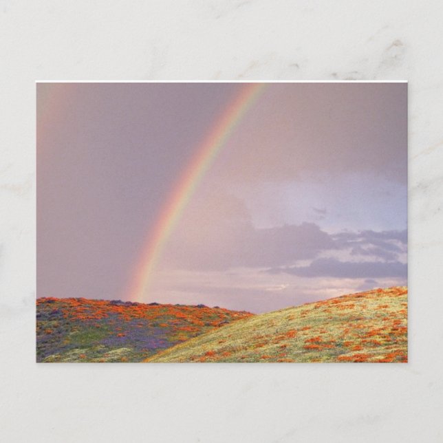 Carte Postale Rainbow Postcard (Devant)