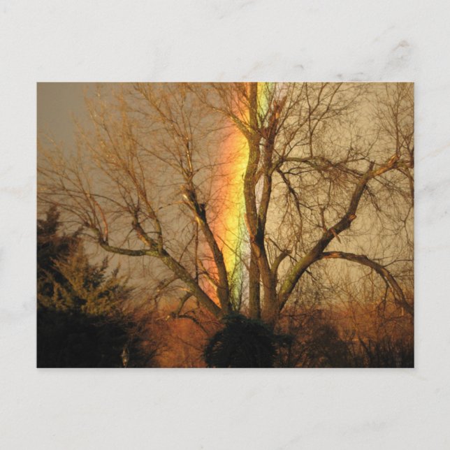 Carte Postale Rainbow Postcard (Devant)
