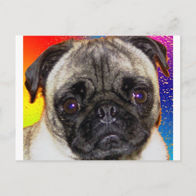 Carte Postale Rainbow Pug (Devant)