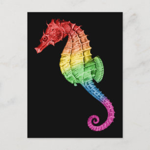 Carte Postale Rainbow Seahorse