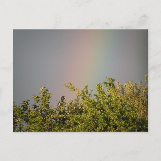 Carte postale Rainbow Sky (Devant)