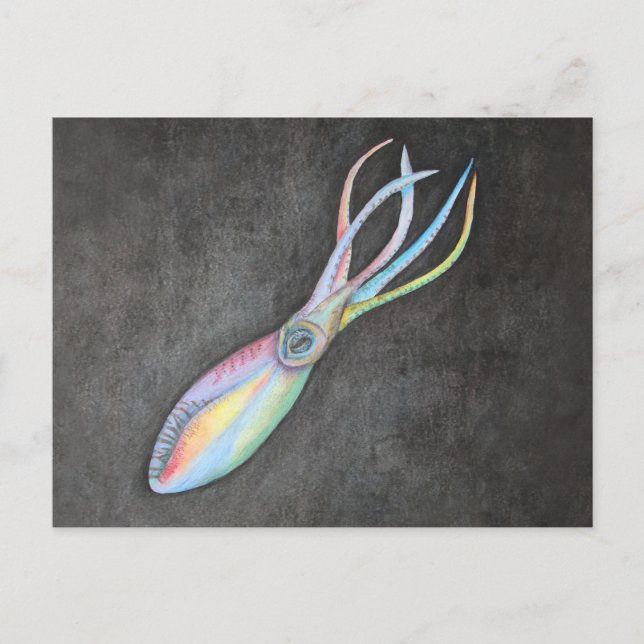 Carte postale Rainbow Squid (Devant)