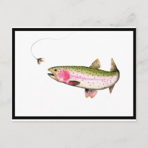Carte Postale Rainbow Trout Fly