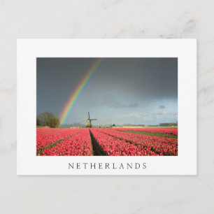 Carte postale Rainbow, tulipe et moulin Pays-Bas