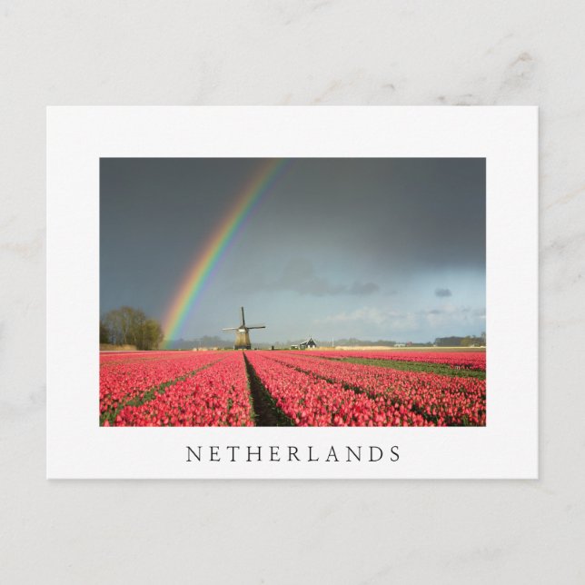 Carte postale Rainbow, tulipe et moulin Pays-Bas (Devant)