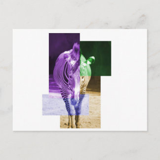 Carte Postale Rainbow Zebra