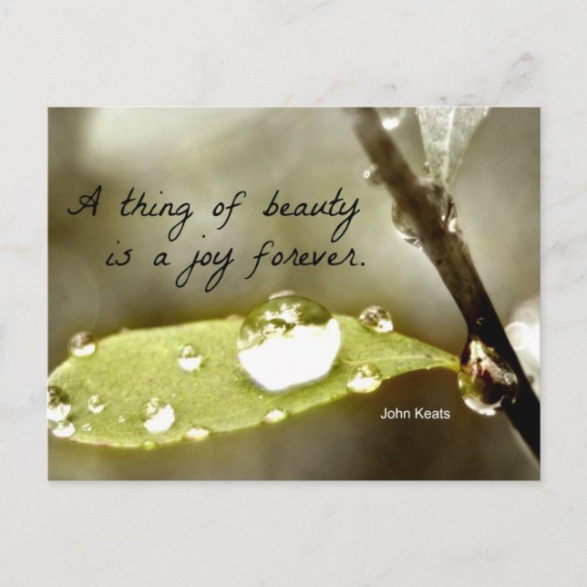 Carte Postale Raindrop sur la feuille, avec une citation : "Une  (Devant)