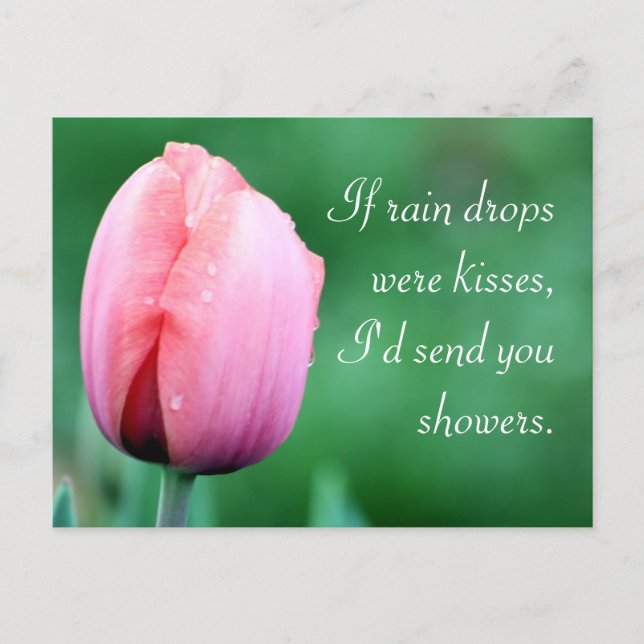 Carte Postale Raindrops & Kisses Tulip Photographie (Devant)