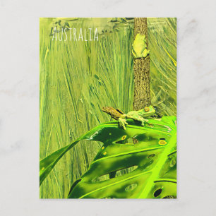 Carte Postale Rainette verte Grenouille australienne