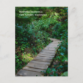 Carte postale Rainforest Boardwalk