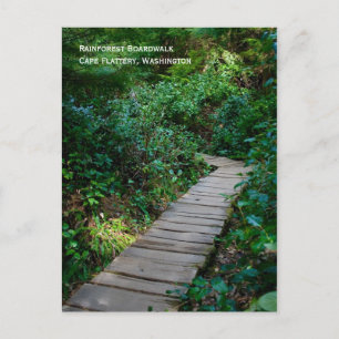 Carte postale Rainforest Boardwalk
