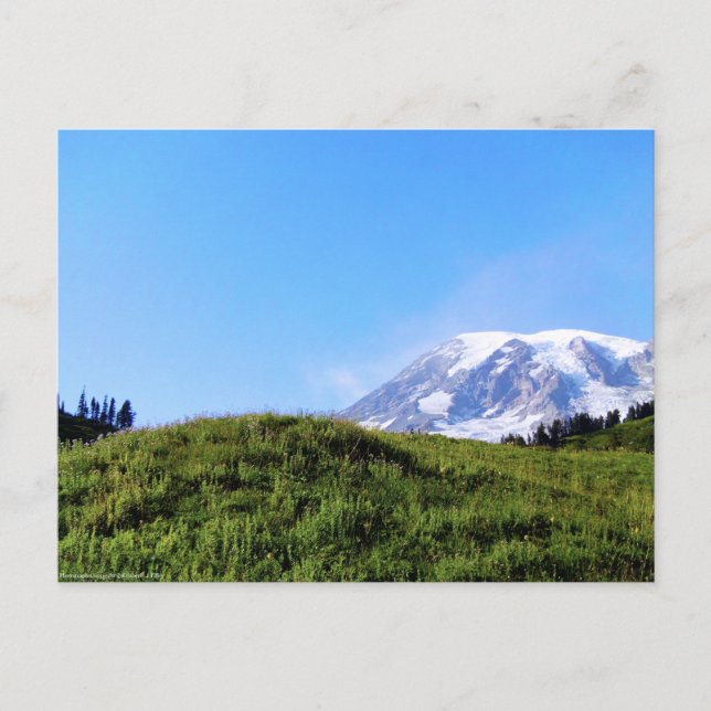 Carte Postale Rainier PDSC230 (Devant)
