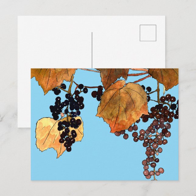 Carte Postale Raisins de givre Art nouveau (Devant / Derrière)