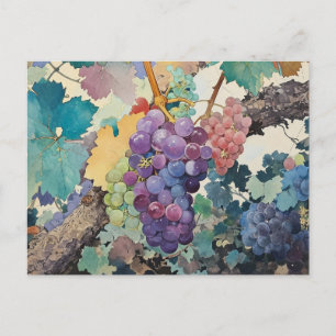 Carte Postale Raisins sur la vigne