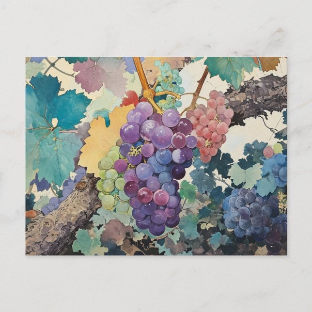 Carte Postale Raisins sur la vigne (Devant)