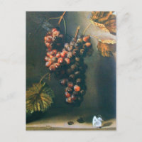 RAISINS TRAITÉS VIGNOBLE RUSTIQUE, VITRALE, VITICU