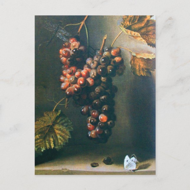 CARTE POSTALE RAISINS TRAITÉS VIGNOBLE RUSTIQUE, VITRALE, VITICU (Devant)