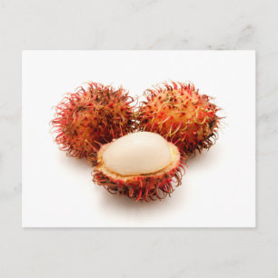 Carte Postale Rambutan