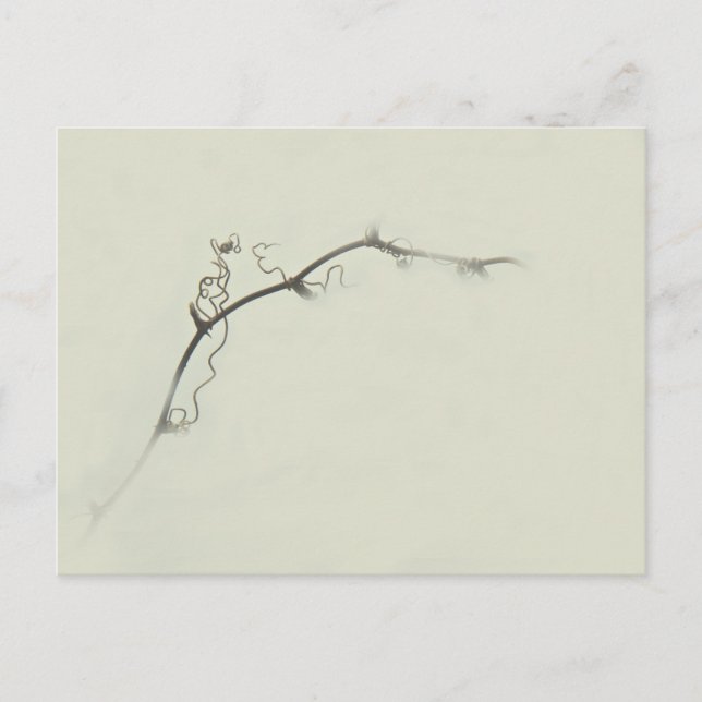 Carte Postale Rameaux de ronce dans le brouillard - Minimalisme (Devant)