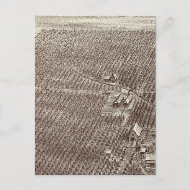 Carte Postale Ranch de fruits de Chapin (Devant)