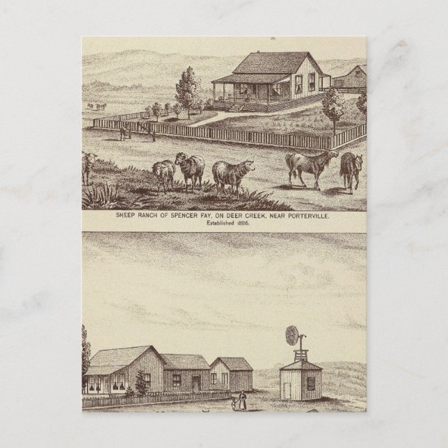 Carte Postale ranch de moutons de Deer Creek (Devant)