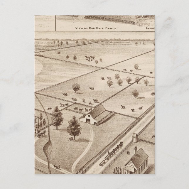 Carte Postale Ranch Oakdale (Devant)